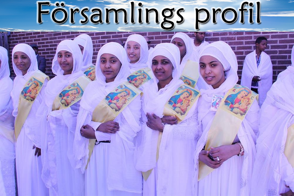 församlingsProfile3